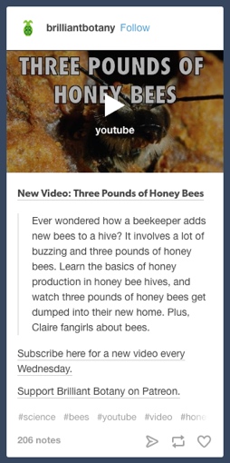 Bee-keeping topic on Tumblr