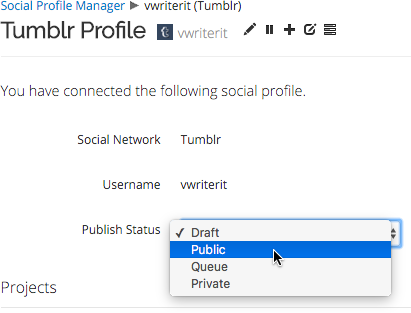 Choose one of four different publish statuses for a Tumblr profile