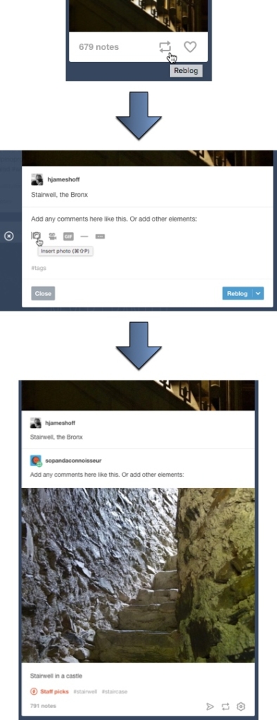 Shows how reblogging works on Tumblr - click reblog, add your own content, and publish to your own blog