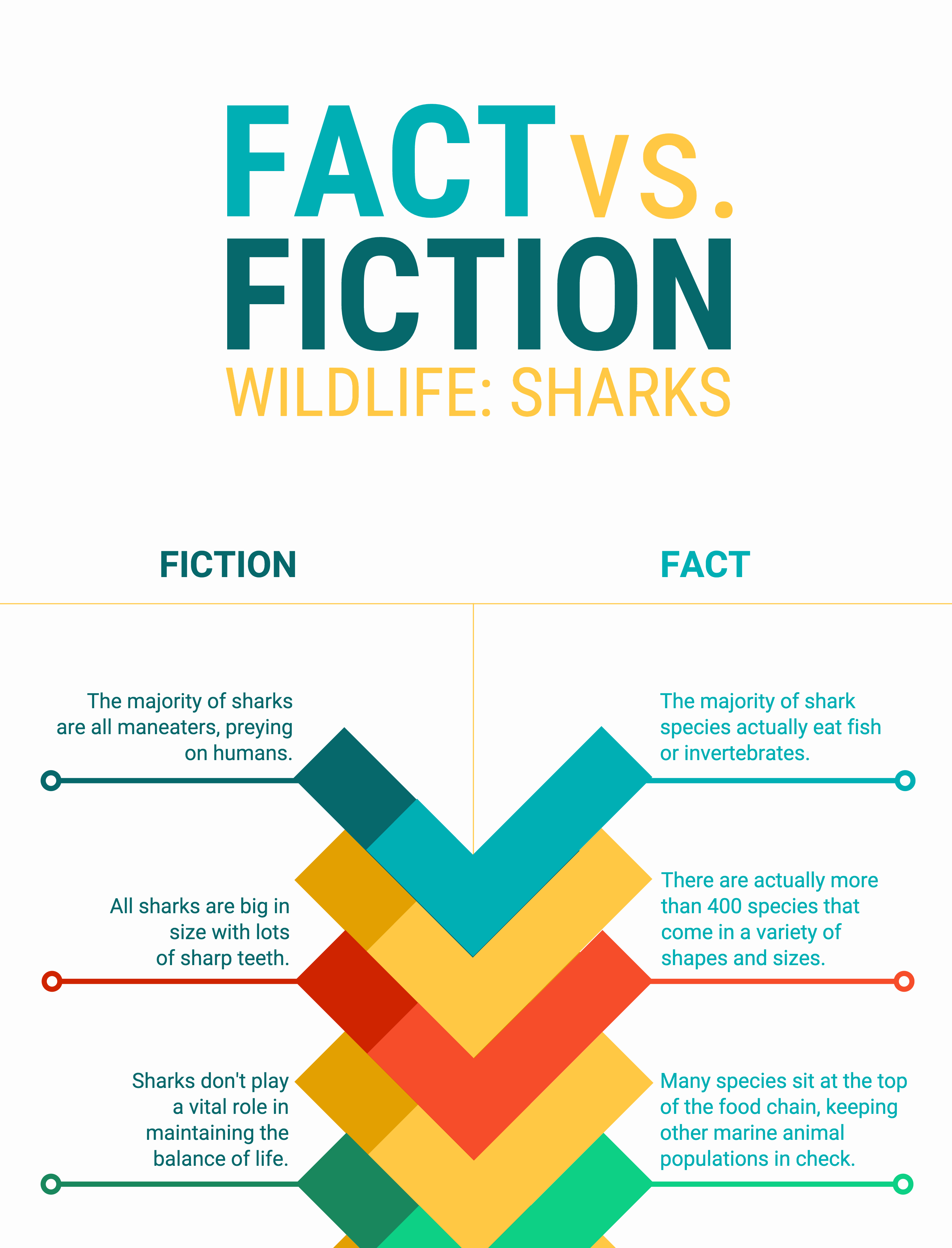 infographic definitin and example qizlet